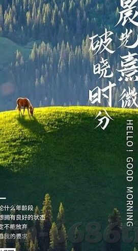 微信炸金花海草中厅-微信炸金花海草中厅，一场虚拟娱乐的社交实验